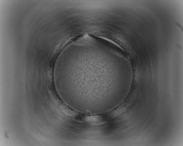 X0000099470461200805161115