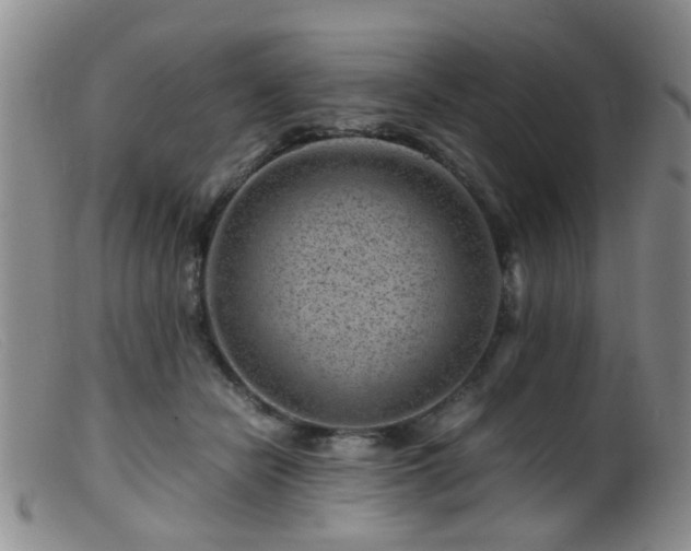 X0000099470462200805161115