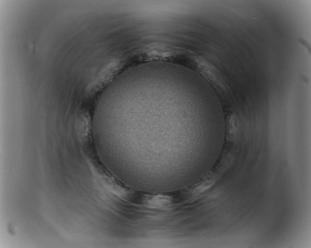 X0000099470463200805161115