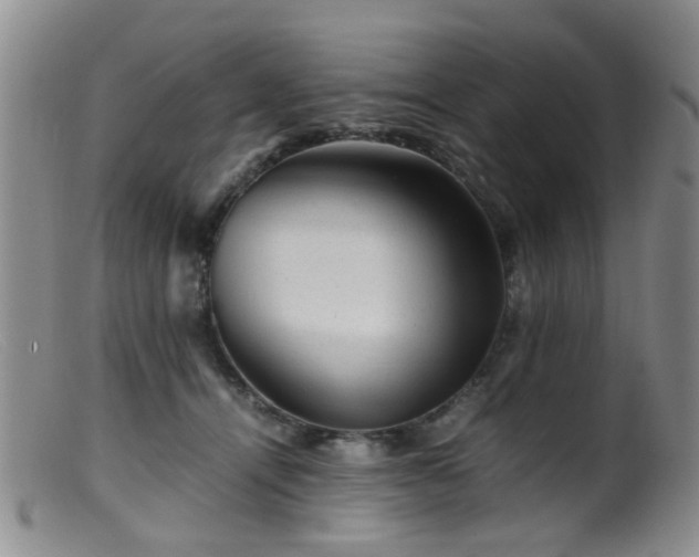 X0000099470464200805161115