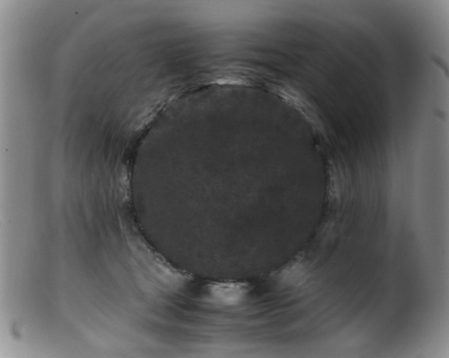 X0000099470465200805161115