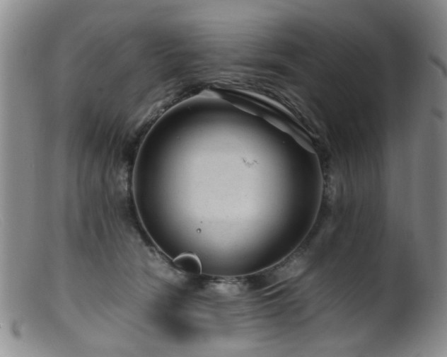 X0000099470466200805161115
