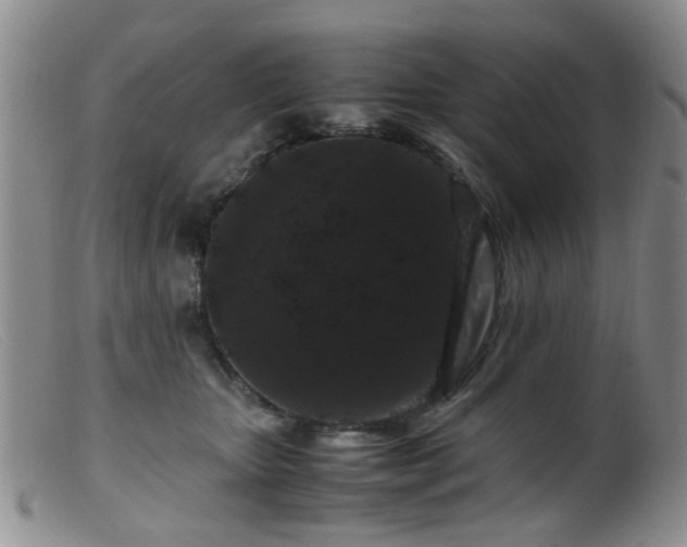 X0000099470467200805161115