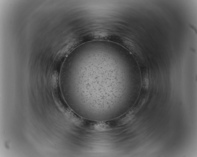 X0000099470468200805161115