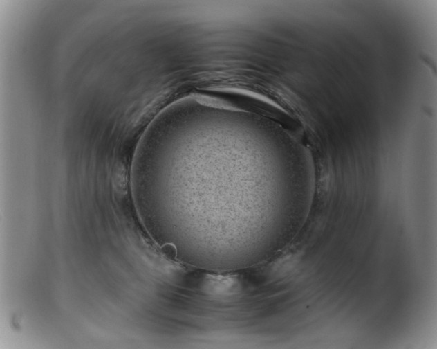 X0000099470469200805161115