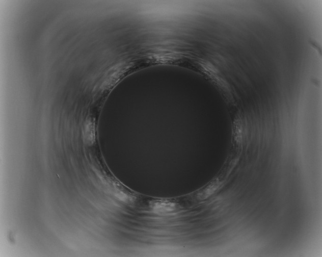 X0000099470471200805161115
