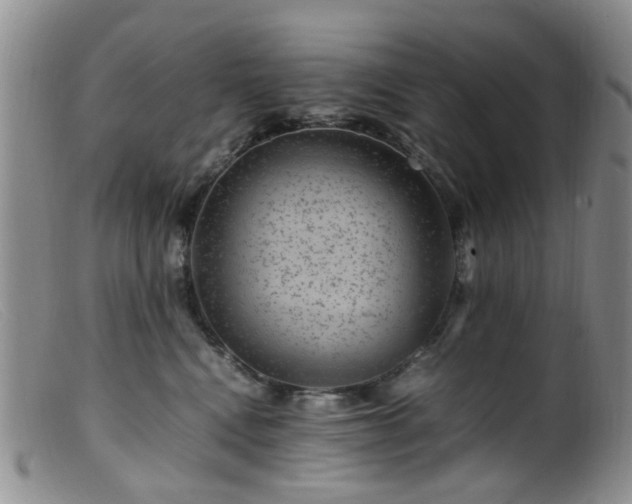 X0000099470472200805161115