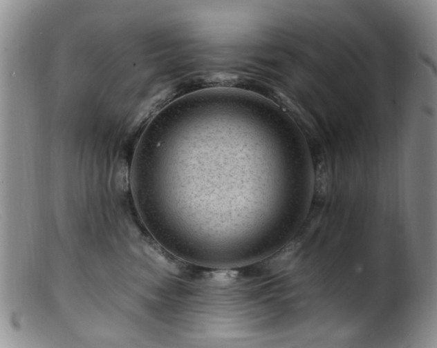 X0000099470474200805161115
