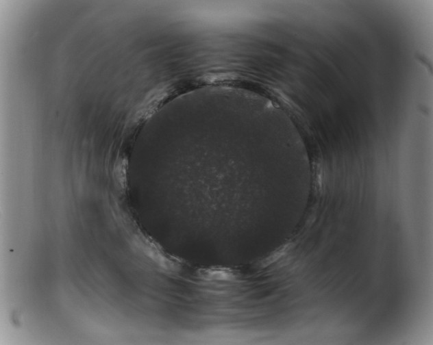 X0000099470475200805161115