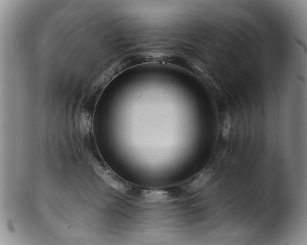 X0000099470476200805161115