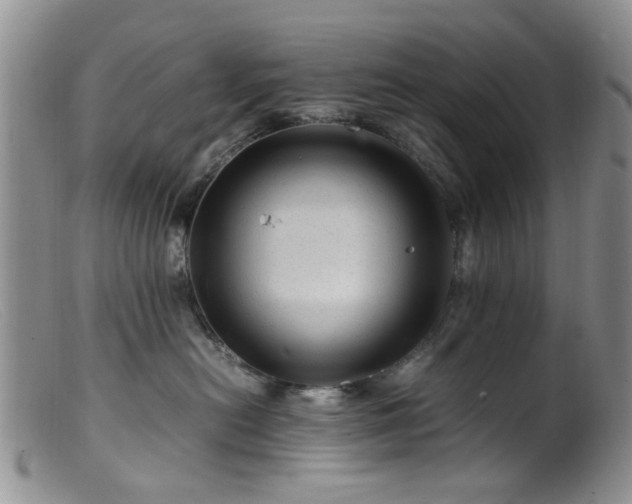 X0000099470478200805161115