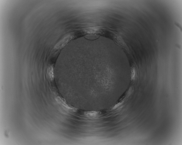 X0000099470479200805161115
