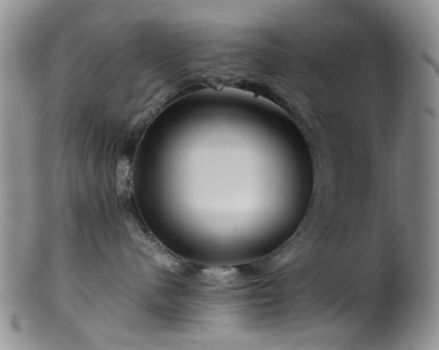 X0000099470480200805161115