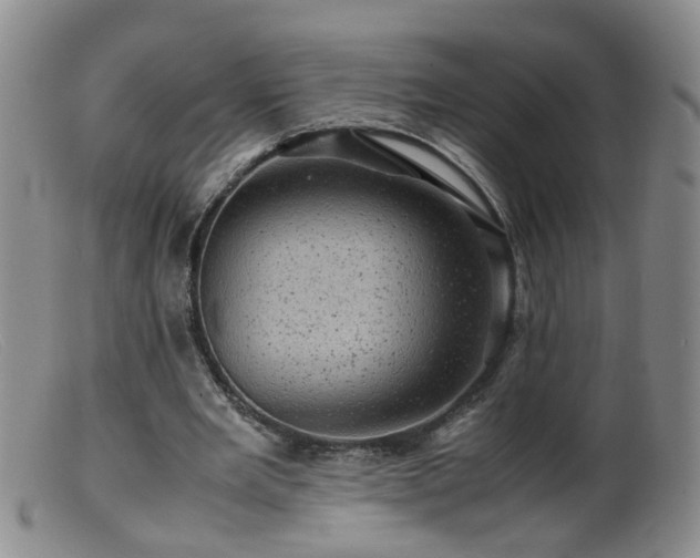 X0000099470485200805161114