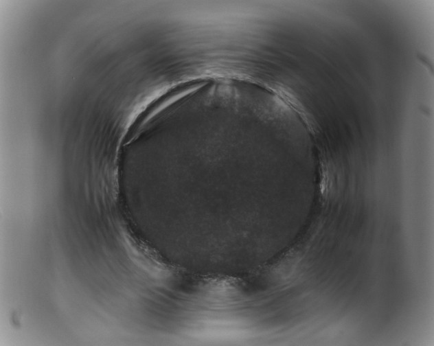 X0000099470488200805161114