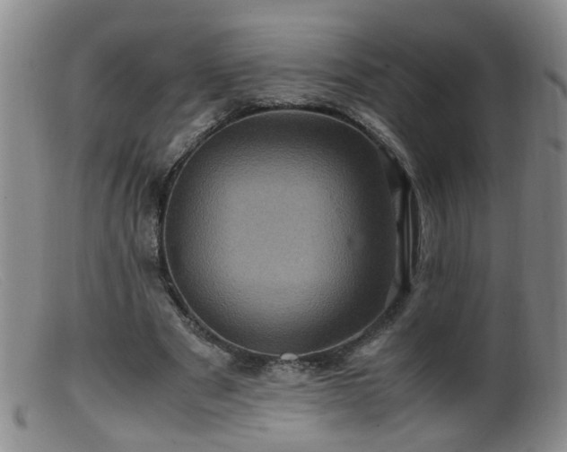 X0000099470489200805161114