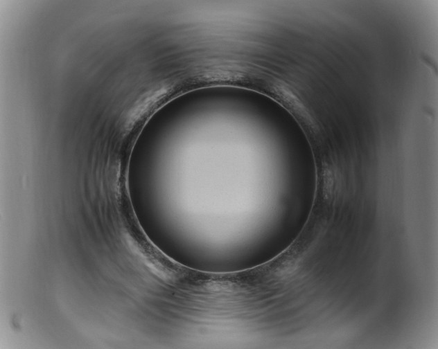 X0000099470490200805161114
