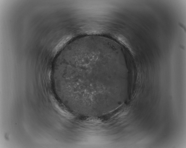 X0000099470491200805161114