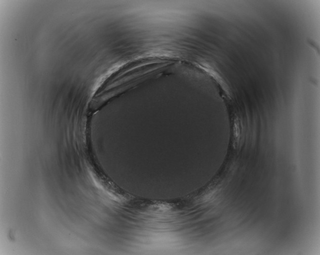 X0000099470492200805161114