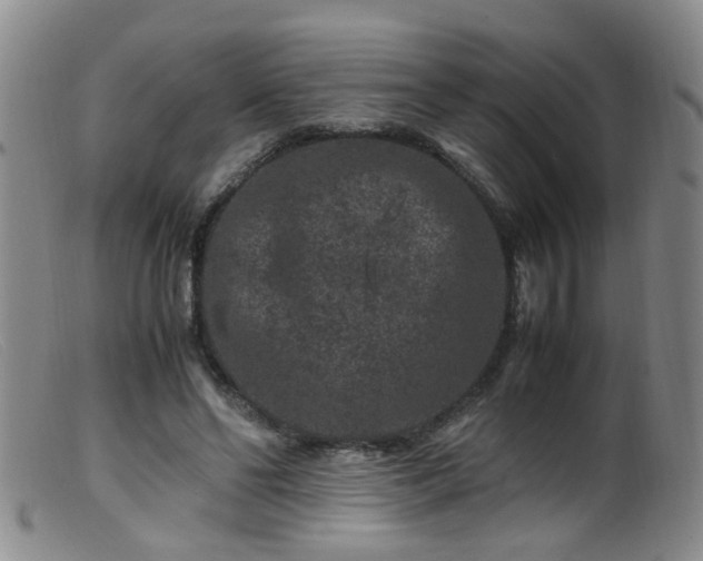X0000099470494200805161114