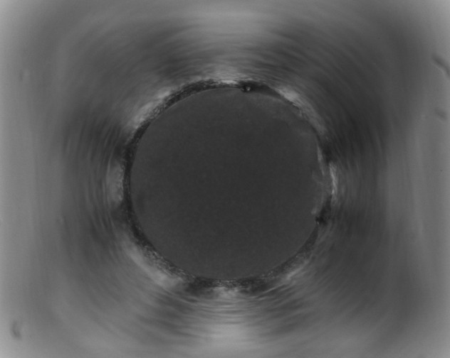 X0000099470496200805161114