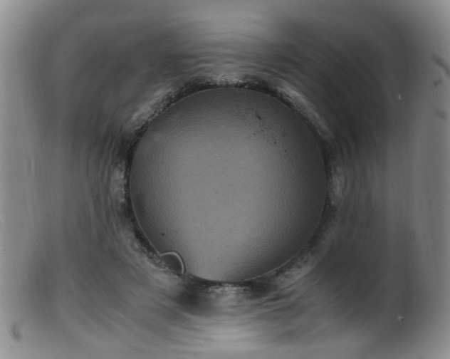 X0000099470497200805161114