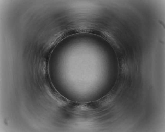 X0000099470498200805161114