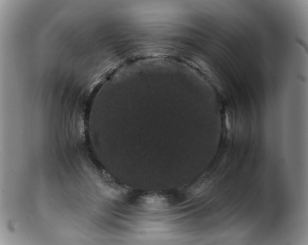 X0000099470500200805161114