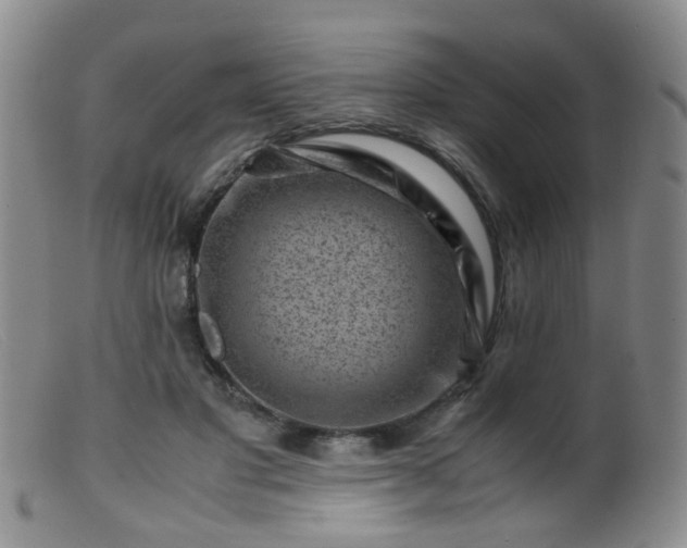 X0000099470501200805161114