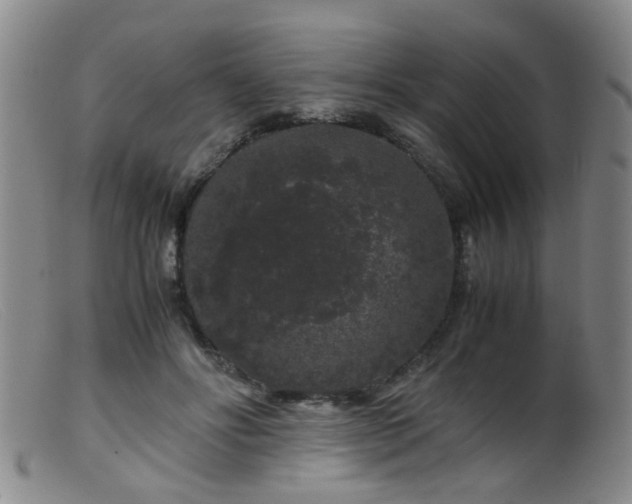 X0000099470502200805161114