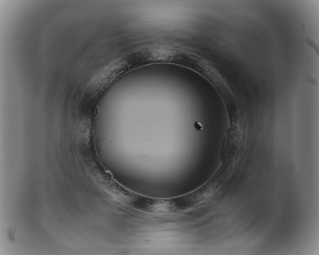 X0000099470505200805161114