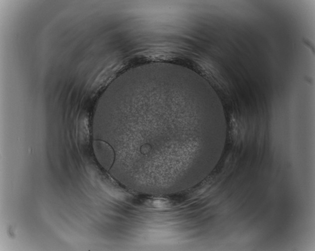 X0000099470506200805161114