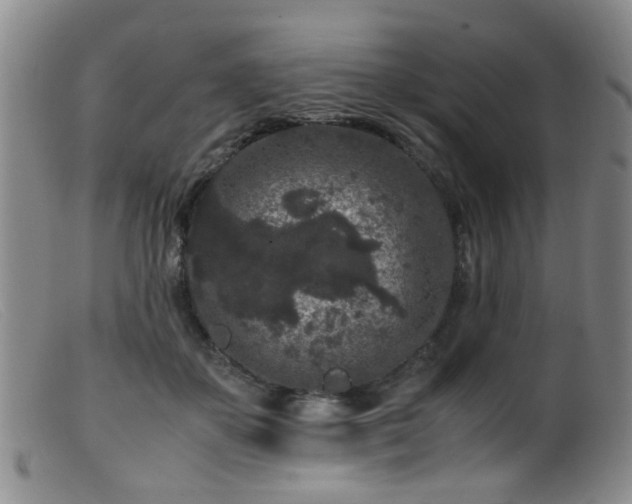 X0000099470507200805161114