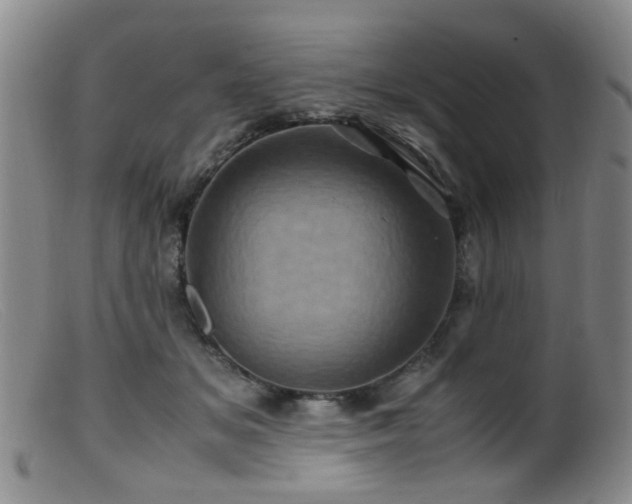 X0000099470509200805161114