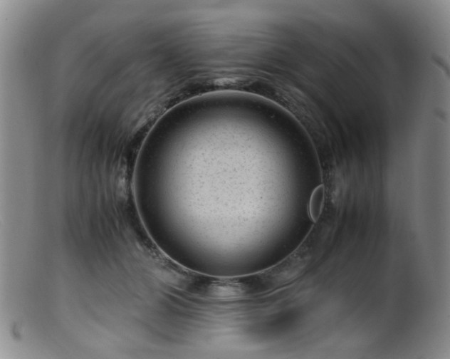 X0000099470510200805161114