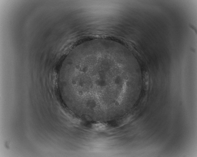 X0000099470511200805161114