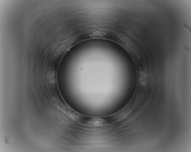 X0000099470514200805161114