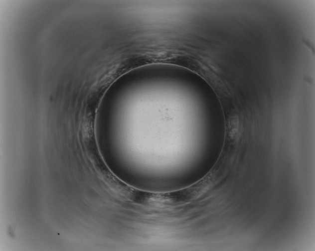 X0000099470515200805161114