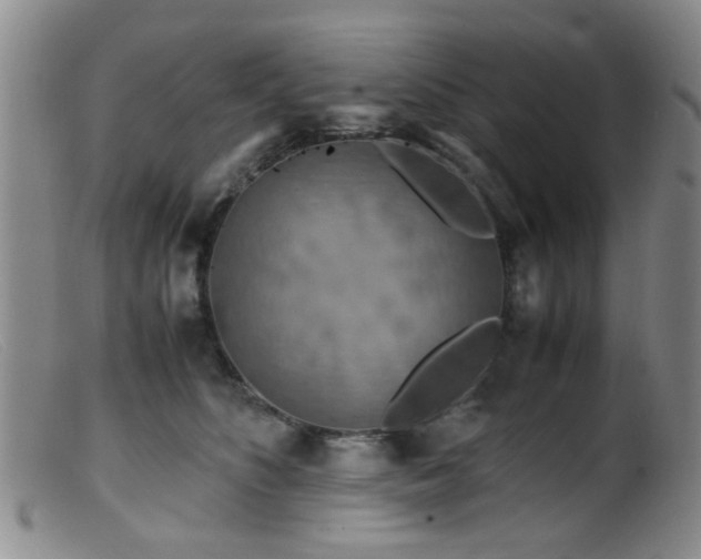 X0000099470516200805161114