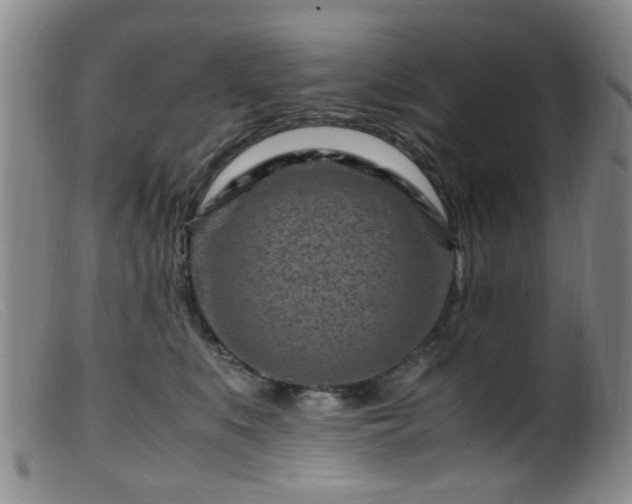 X0000099470519200805161114