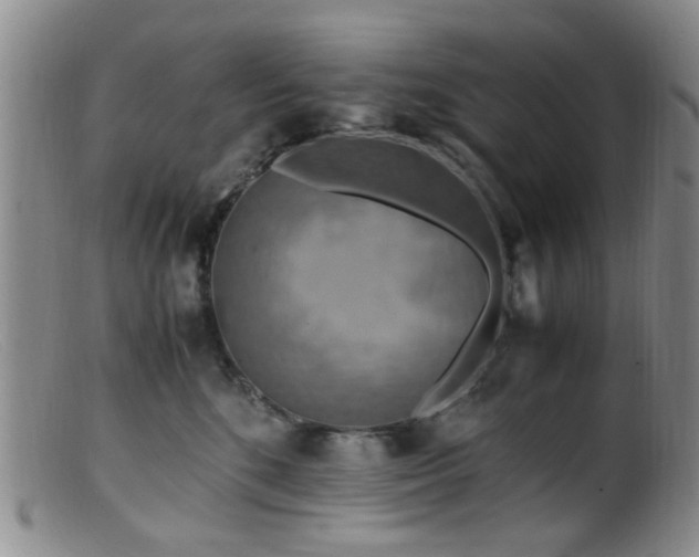 X0000099470520200805161114