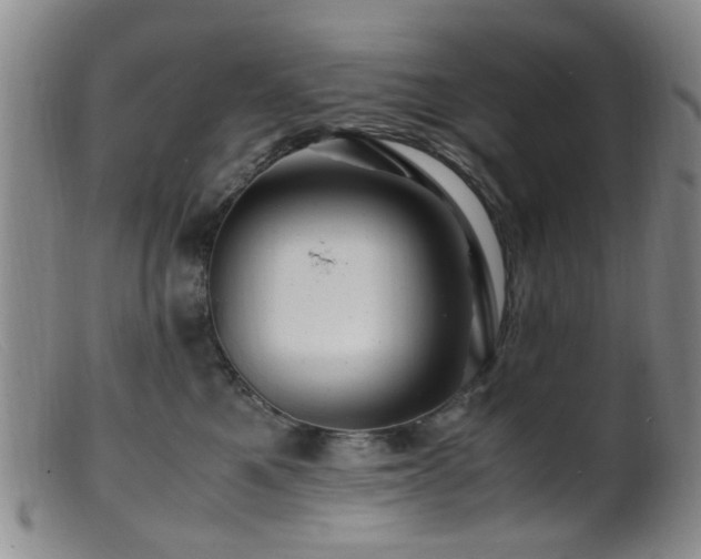X0000099470521200805161114