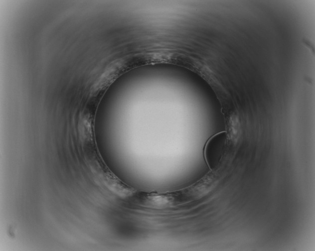 X0000099470522200805161114