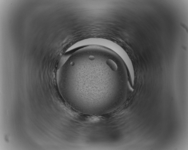 X0000099470523200805161114