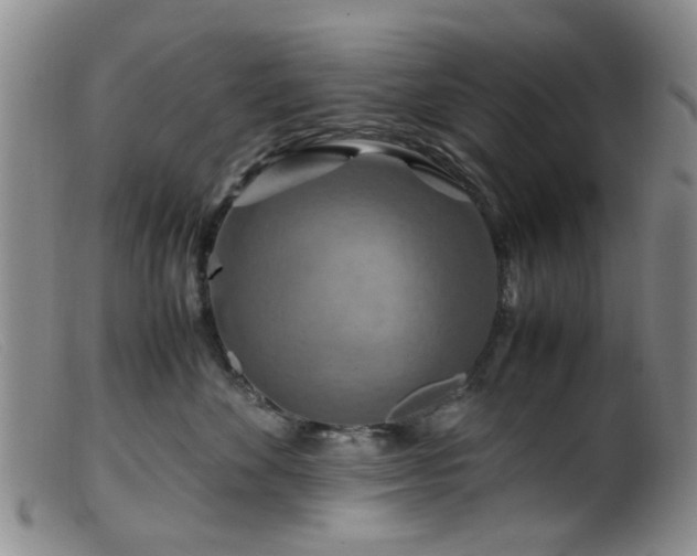 X0000099470524200805161114