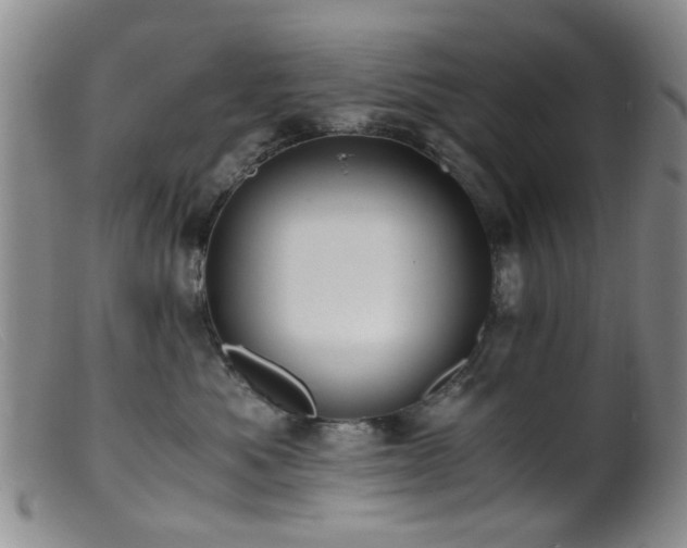 X0000099470525200805161114
