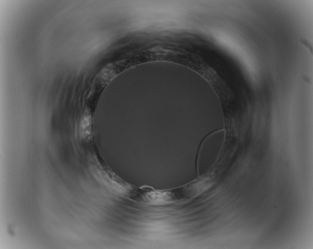 X0000099470526200805161114