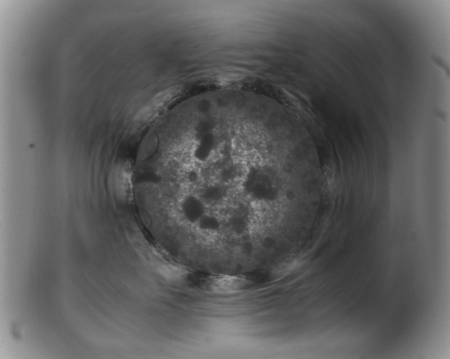 X0000099470527200805161114
