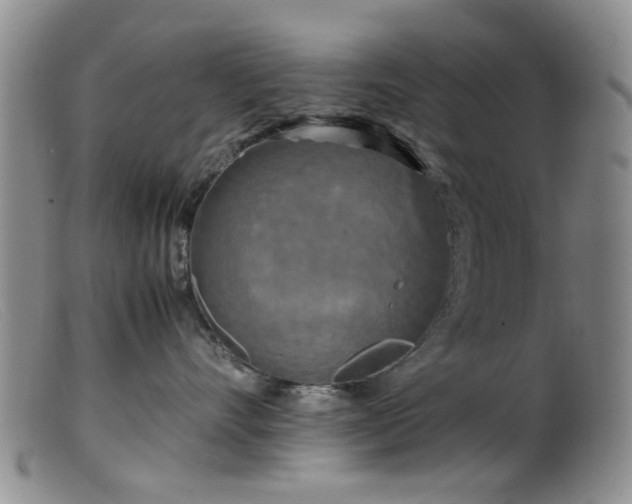 X0000099470528200805161114