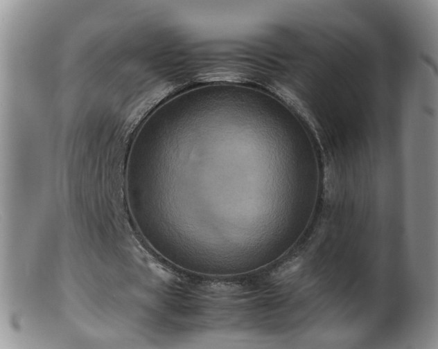 X0000099470529200805161113